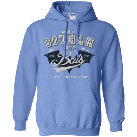 Sweatshirts Carolina Blue / Small Gotham U Pullover Hoodie
