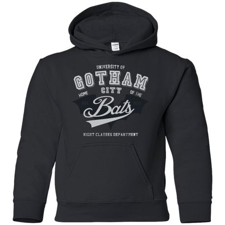 Sweatshirts Black / YS Gotham U Youth Hoodie