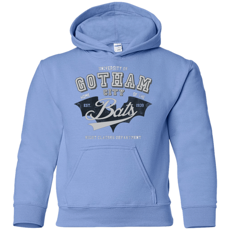 Sweatshirts Carolina Blue / YS Gotham U Youth Hoodie