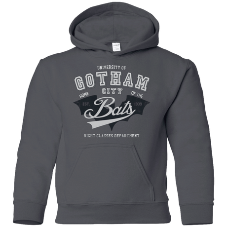 Sweatshirts Charcoal / YS Gotham U Youth Hoodie