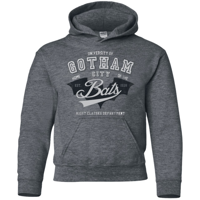 Sweatshirts Dark Heather / YS Gotham U Youth Hoodie