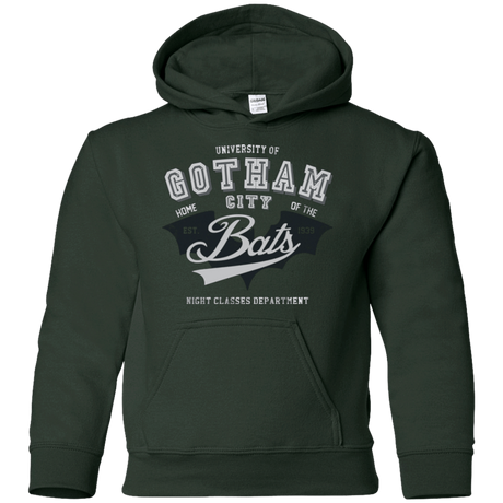 Sweatshirts Forest Green / YS Gotham U Youth Hoodie