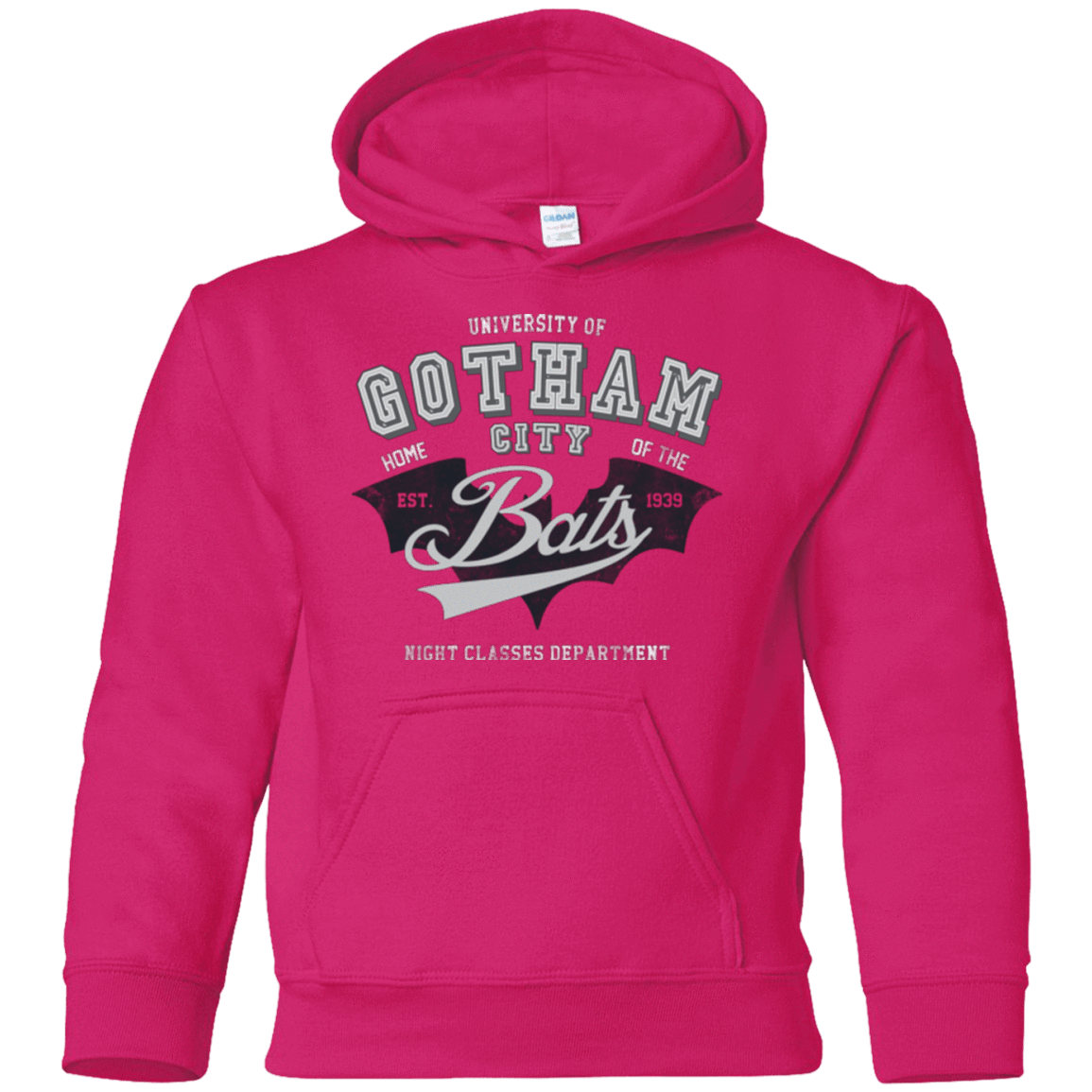 Sweatshirts Heliconia / YS Gotham U Youth Hoodie