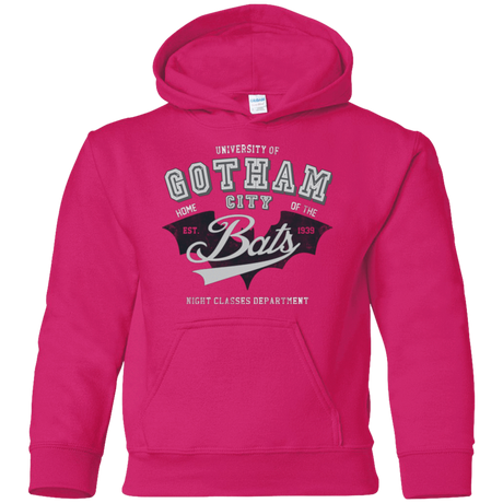 Sweatshirts Heliconia / YS Gotham U Youth Hoodie