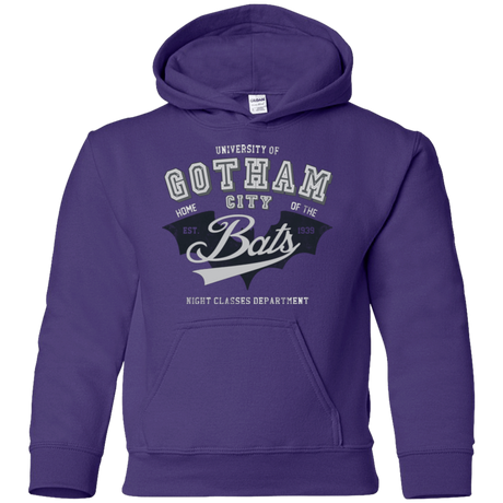 Sweatshirts Purple / YS Gotham U Youth Hoodie