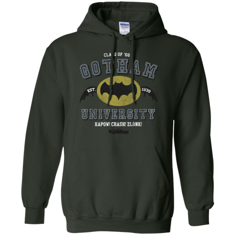 Sweatshirts Forest Green / Small Gotham University Pullover Hoodie