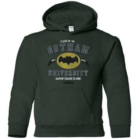 Sweatshirts Forest Green / YS Gotham University Youth Hoodie