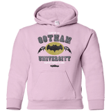 Sweatshirts Light Pink / YS Gotham University Youth Hoodie
