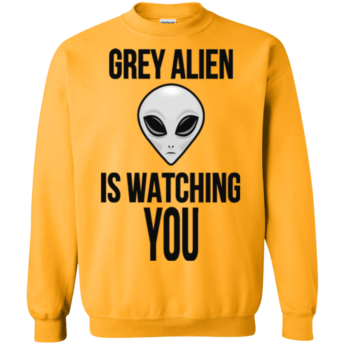 Sweatshirts Gold / Small Grey Alien Crewneck Sweatshirt