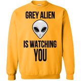 Sweatshirts Gold / Small Grey Alien Crewneck Sweatshirt