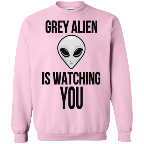 Sweatshirts Light Pink / Small Grey Alien Crewneck Sweatshirt