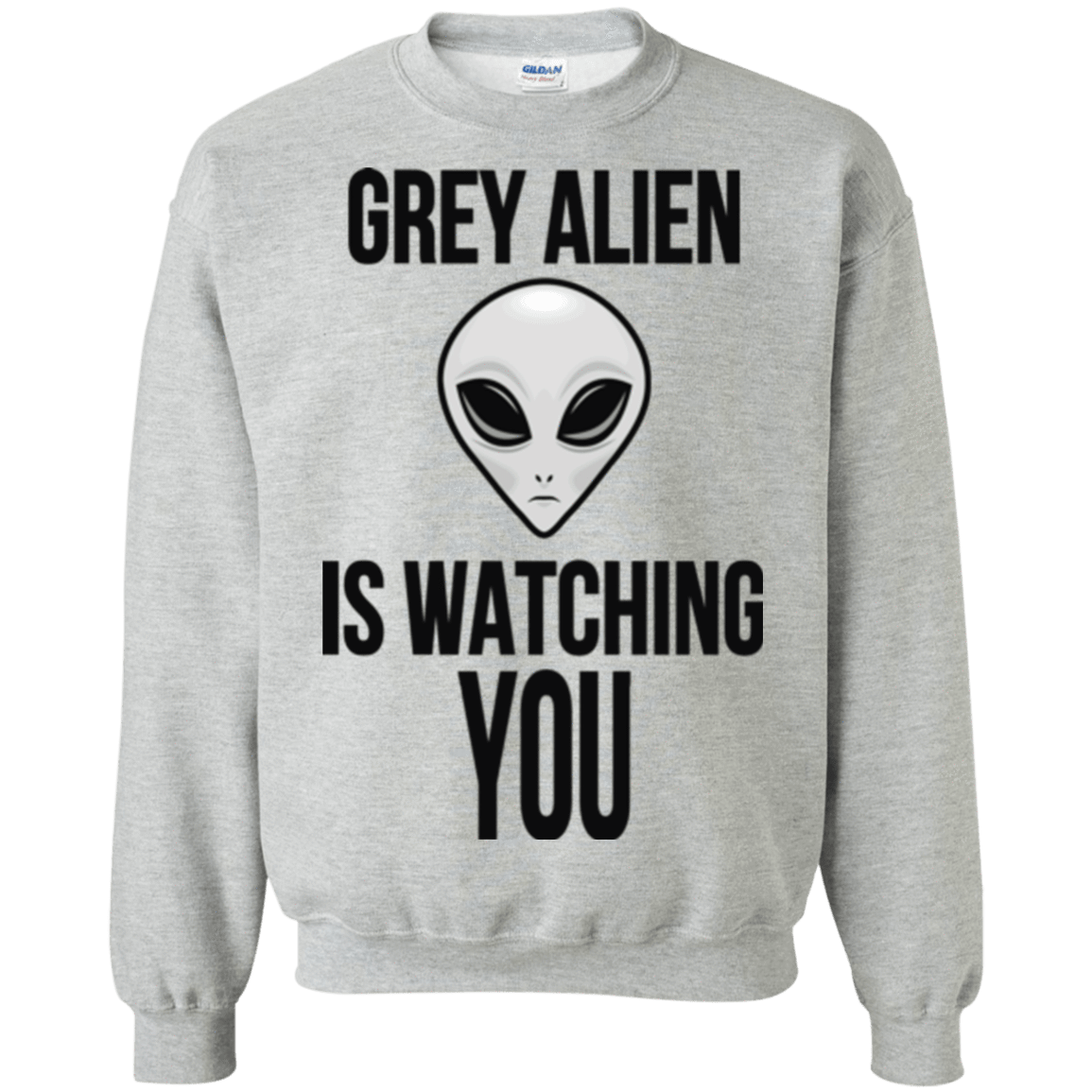 Sweatshirts Sport Grey / Small Grey Alien Crewneck Sweatshirt