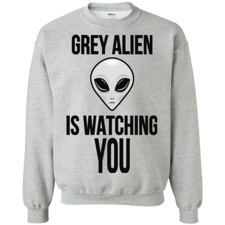 Sweatshirts Sport Grey / Small Grey Alien Crewneck Sweatshirt