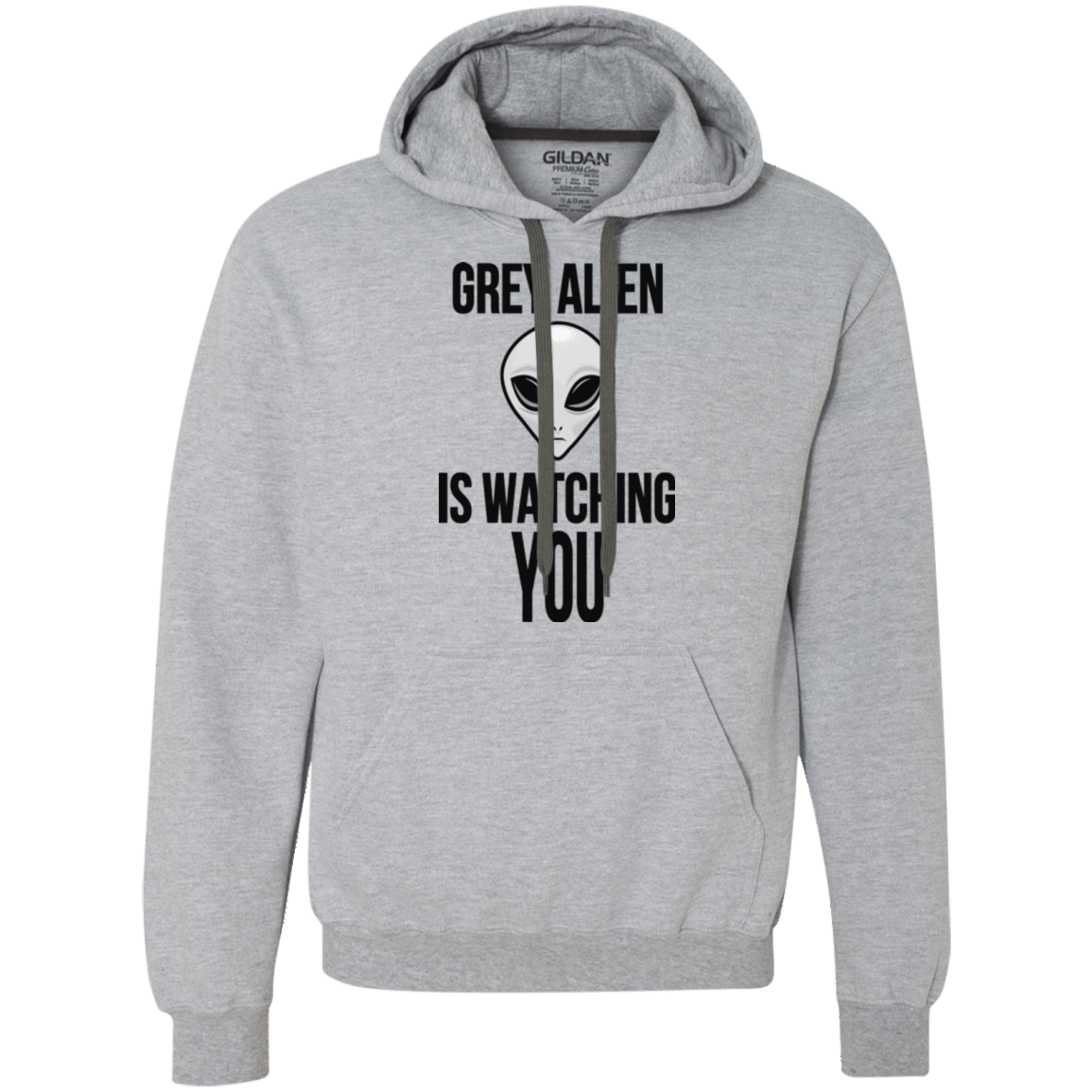 Sweatshirts Sport Grey / Small Grey Alien Premium Fleece Hoodie
