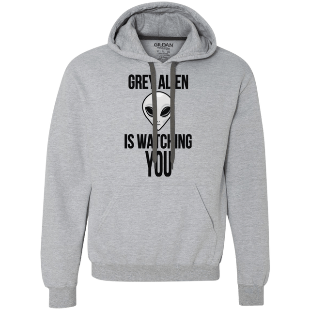 Sweatshirts Sport Grey / Small Grey Alien Premium Fleece Hoodie