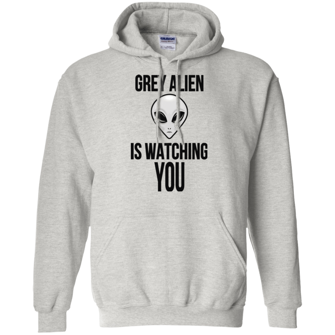 Sweatshirts Ash / Small Grey Alien Pullover Hoodie