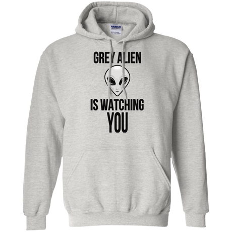 Sweatshirts Ash / Small Grey Alien Pullover Hoodie