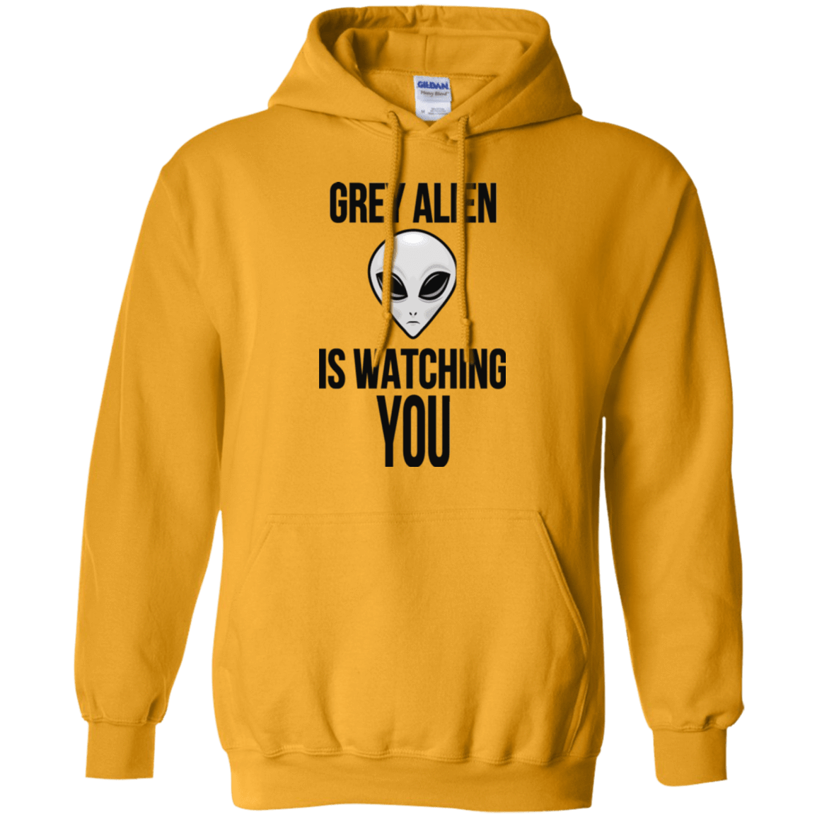 Sweatshirts Gold / Small Grey Alien Pullover Hoodie