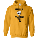 Sweatshirts Gold / Small Grey Alien Pullover Hoodie