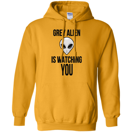 Sweatshirts Gold / Small Grey Alien Pullover Hoodie