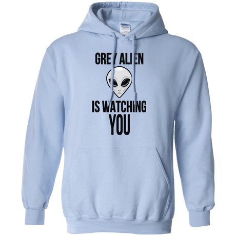 Sweatshirts Light Blue / Small Grey Alien Pullover Hoodie