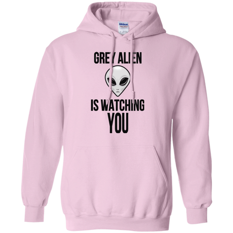 Sweatshirts Light Pink / Small Grey Alien Pullover Hoodie