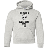 Sweatshirts Ash / YS Grey Alien Youth Hoodie