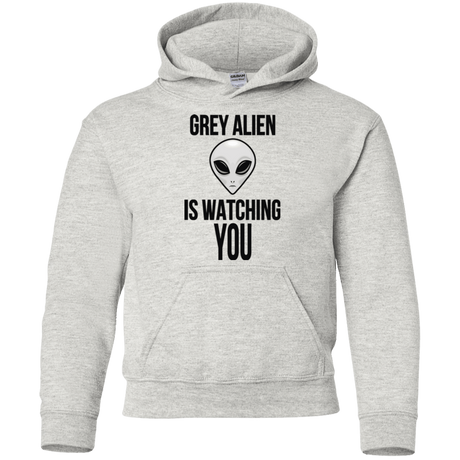 Sweatshirts Ash / YS Grey Alien Youth Hoodie