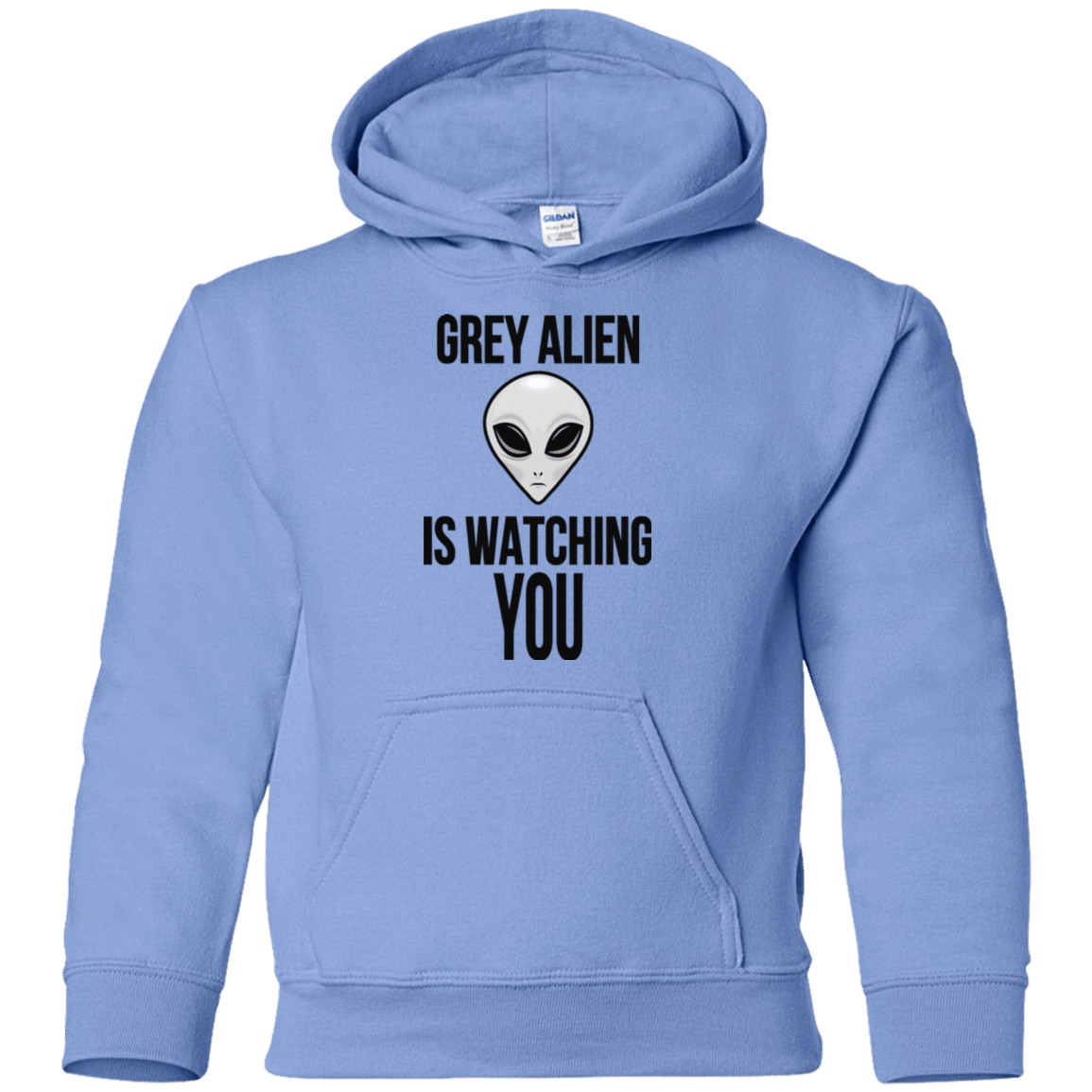 Sweatshirts Carolina Blue / YS Grey Alien Youth Hoodie