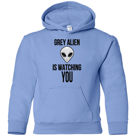 Sweatshirts Carolina Blue / YS Grey Alien Youth Hoodie