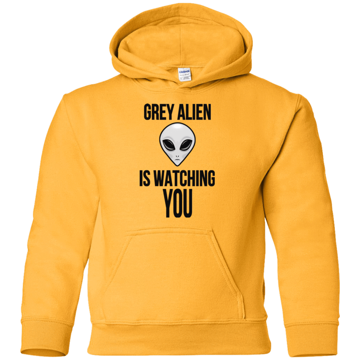Sweatshirts Gold / YS Grey Alien Youth Hoodie