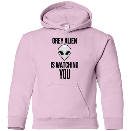 Sweatshirts Light Pink / YS Grey Alien Youth Hoodie