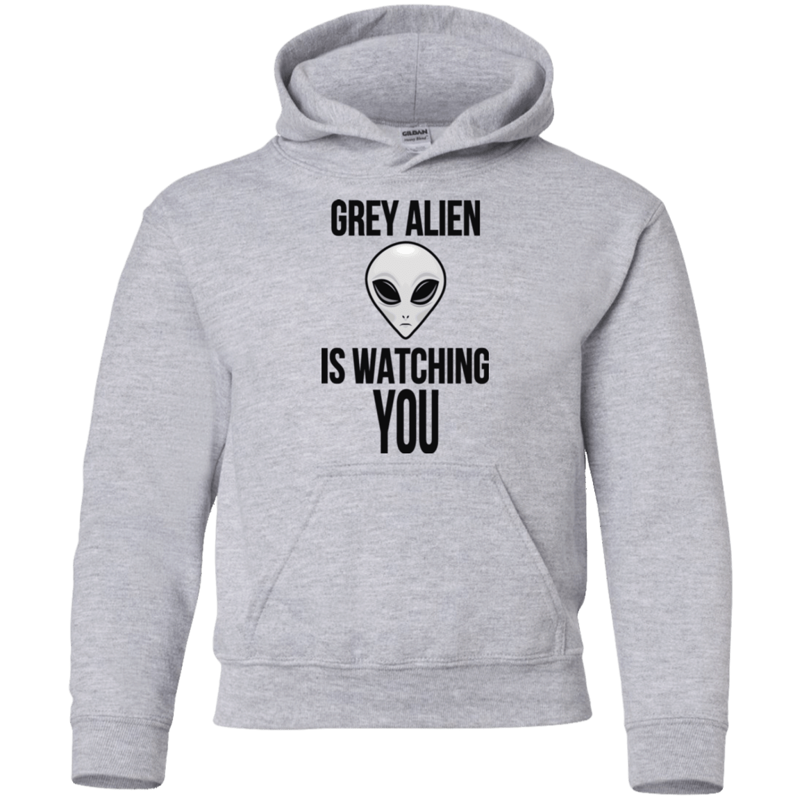Sweatshirts Sport Grey / YS Grey Alien Youth Hoodie