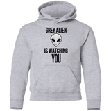 Sweatshirts Sport Grey / YS Grey Alien Youth Hoodie