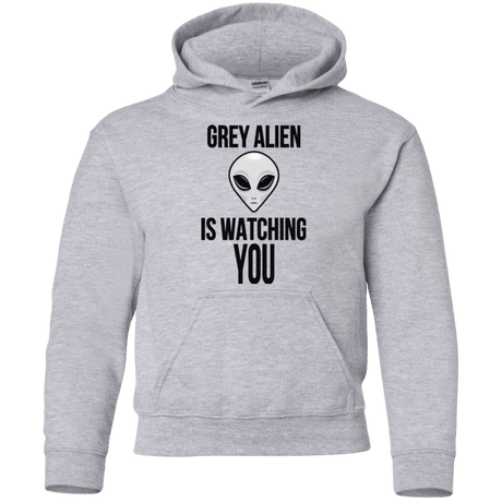 Sweatshirts Sport Grey / YS Grey Alien Youth Hoodie