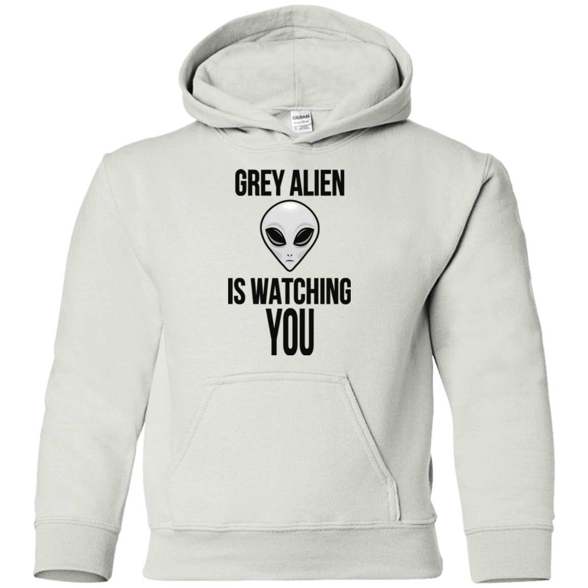 Sweatshirts White / YS Grey Alien Youth Hoodie