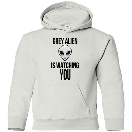 Sweatshirts White / YS Grey Alien Youth Hoodie