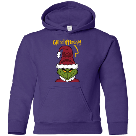 Sweatshirts Purple / YS Grinchffindor Youth Hoodie