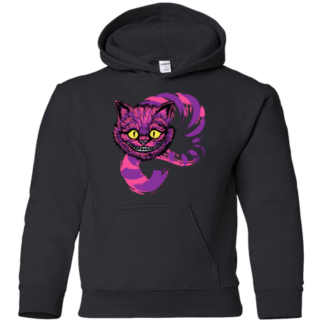 Sweatshirts Black / YS Grinning Like A Cheshire Cat 2 Youth Hoodie