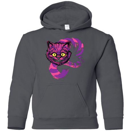 Sweatshirts Charcoal / YS Grinning Like A Cheshire Cat 2 Youth Hoodie