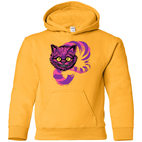 Sweatshirts Gold / YS Grinning Like A Cheshire Cat 2 Youth Hoodie