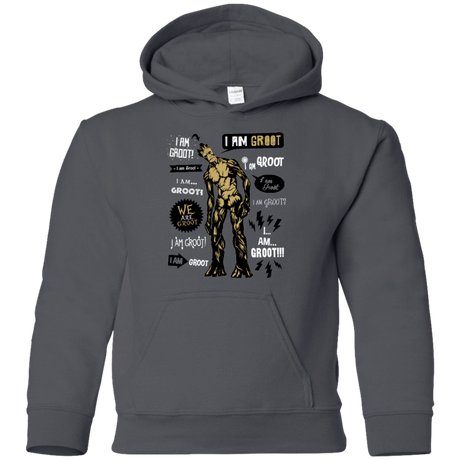 Sweatshirts Charcoal / YS Groot Famous Quotes Youth Hoodie