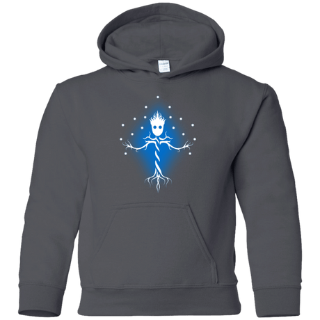 Sweatshirts Charcoal / YS Guardian Tree of The Galaxy Youth Hoodie