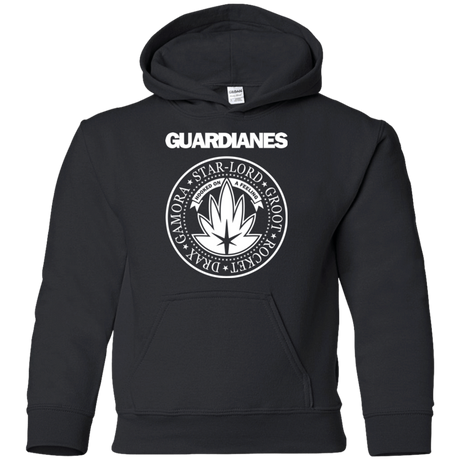 Sweatshirts Black / YS Guardianes Youth Hoodie