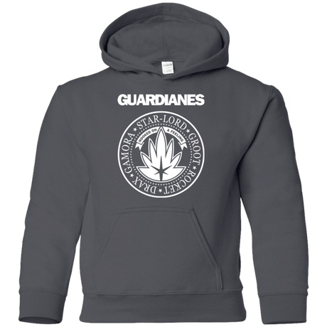 Sweatshirts Charcoal / YS Guardianes Youth Hoodie