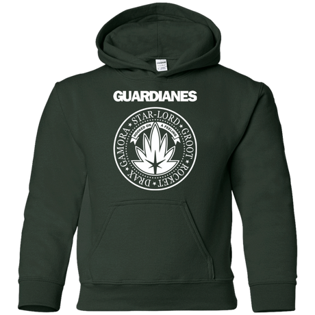Sweatshirts Forest Green / YS Guardianes Youth Hoodie