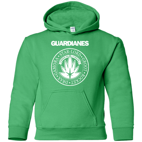 Sweatshirts Irish Green / YS Guardianes Youth Hoodie