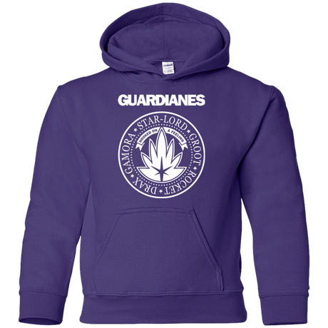 Sweatshirts Purple / YS Guardianes Youth Hoodie
