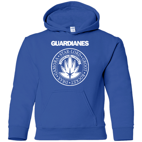 Sweatshirts Royal / YS Guardianes Youth Hoodie
