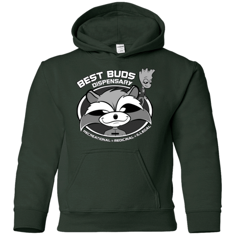 Sweatshirts Forest Green / YS Guardians Of The Greenery Youth Hoodie
